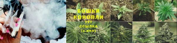 эйфоретик Верея